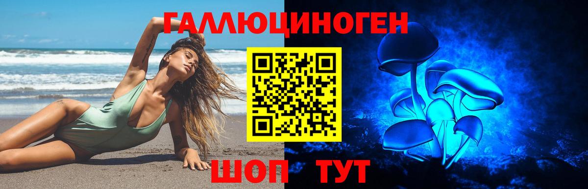 Галлюциногенные грибы мухоморы Горно-Алтайск